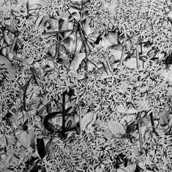 Artist: Ashok Kumar Gopalan, Title: Couples in the Flower_2, Medium: Ink on Paper