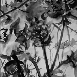 Artist: Ashok Kumar Gopalan, Title: Flowers, Medium:Ink on Paper