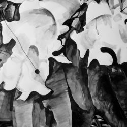 Artist: Ashok Kumar Gopalan, Title: Flower_1, Medium: Ink on Paper