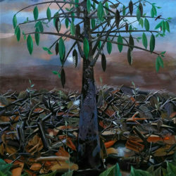 Artist: Ashok Kumar Gopalan, Title: Cotton Tree_2, Medium: Acrylic on Canvas